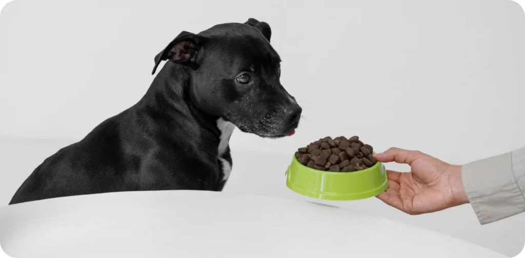 Nature’s Blend Dog Food