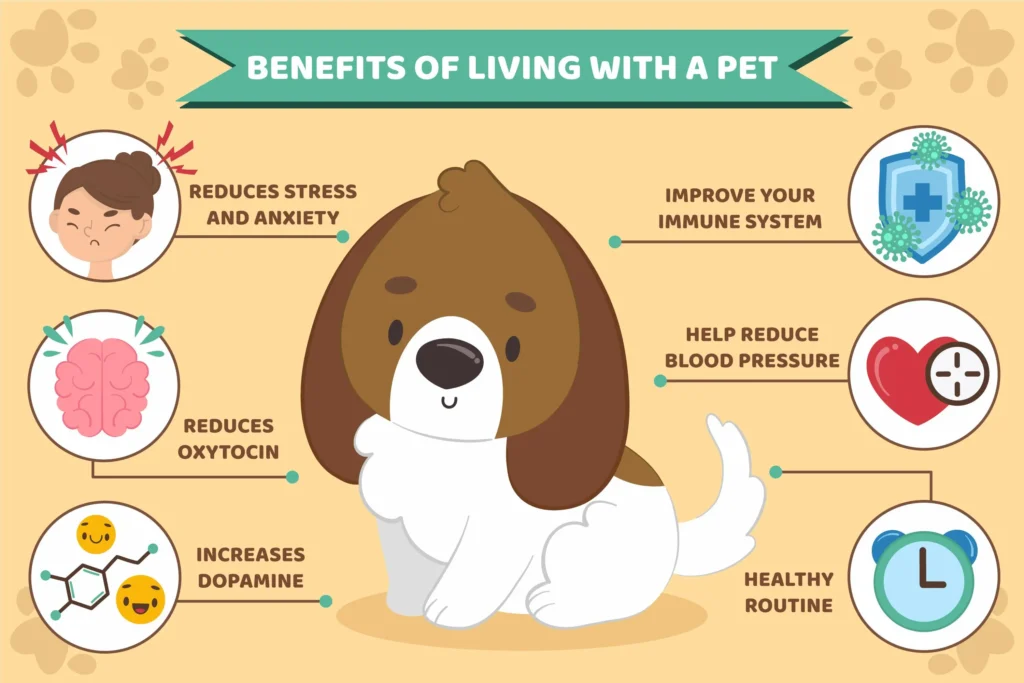 Recognizing Dog Health Symptoms: A Comprehensive Guide